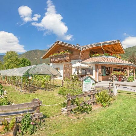 B&B Dalla Fattoria Della Patty Пиеве ди Ледро Екстериор снимка