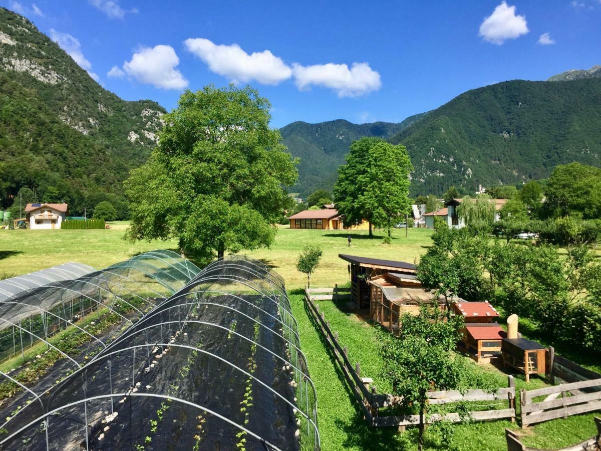 B&B Dalla Fattoria Della Patty Пиеве ди Ледро Екстериор снимка