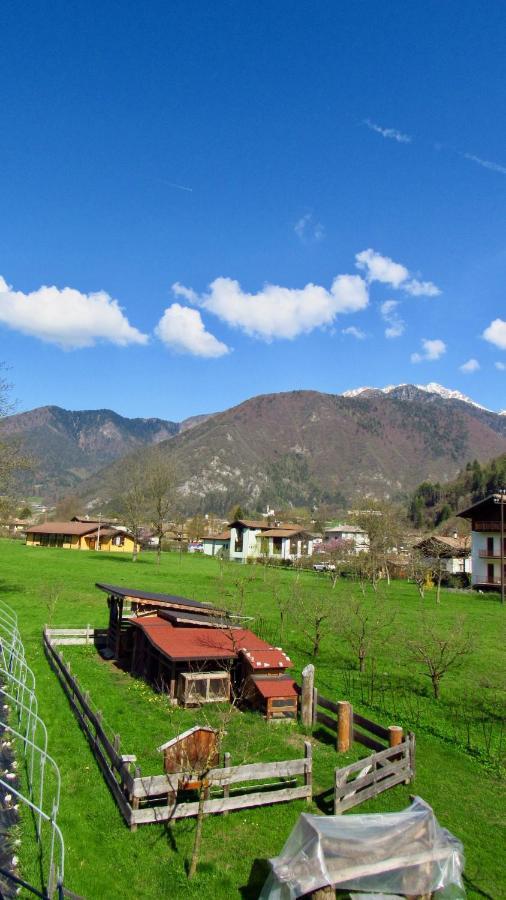 B&B Dalla Fattoria Della Patty Пиеве ди Ледро Екстериор снимка